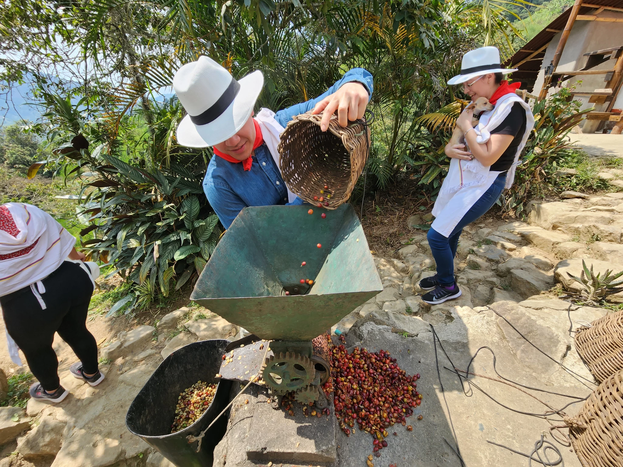 Coffee Tour +